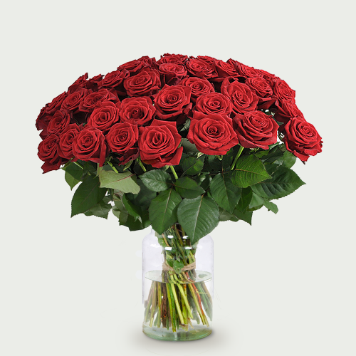 10 of meer rode rozen bestellen? Topgeschenken.nl