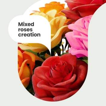 Mixed roses creation
