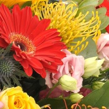 Bouquet Multicoloured