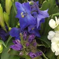 Bouquet Blue - Purple