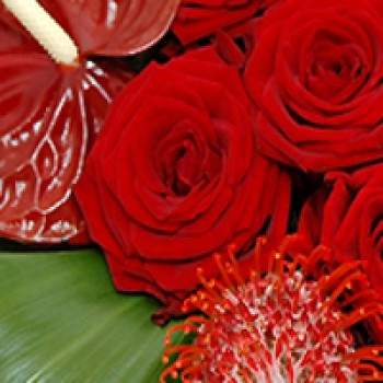 Bouquet Red