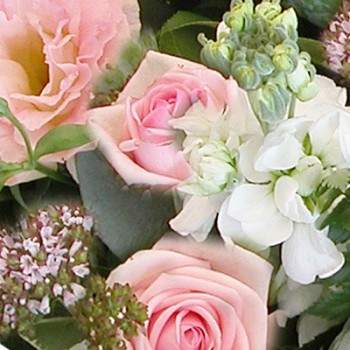 Bouquet Pink