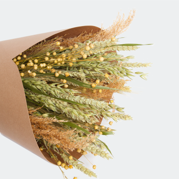 Droogbloemen Boeket Naturel