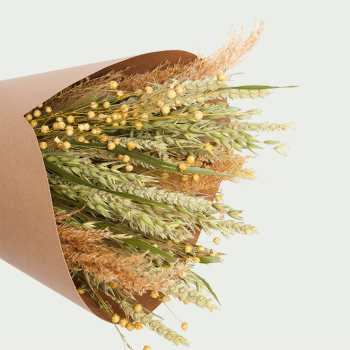 Droogbloemen Boeket Naturel