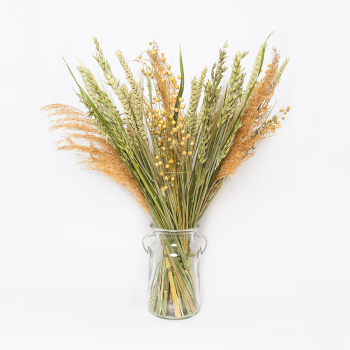 Dried Flowers Bouquet Natural including vase