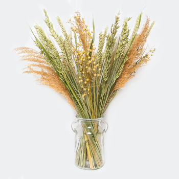 Droogbloemen Boeket Naturel incl. vaas