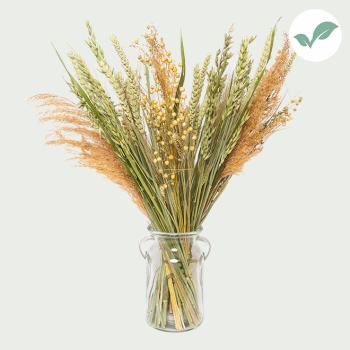 Dried Flowers Bouquet Natural including vase