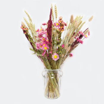 Droogbloemen Boeket Roze incl. vaas