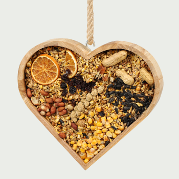 Bird feeder heart
