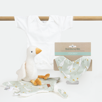 Geboorte cadeau little goose
