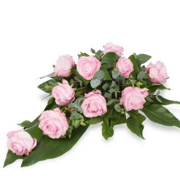 Pink Rose