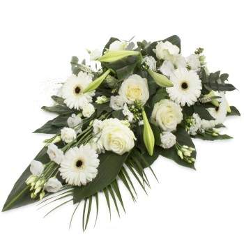 White Elegance