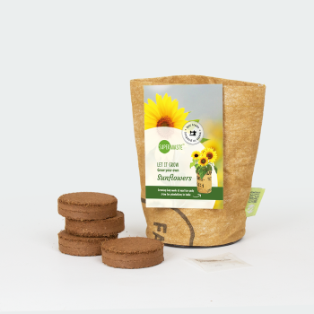 Grow your own - Sunflowers