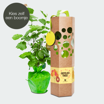 Felicitatieboompje