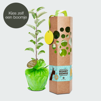 Dankjewel boompje