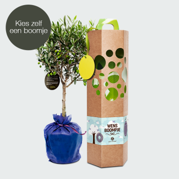 Wensboompje