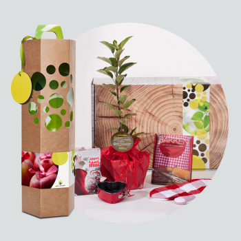 Cadeaupakket Appel(boom)taart