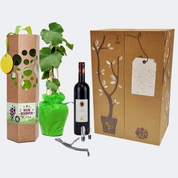Cadeaupakket Wijnboom