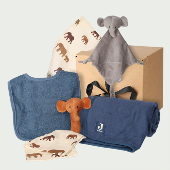 Geboorte cadeau blue elephant