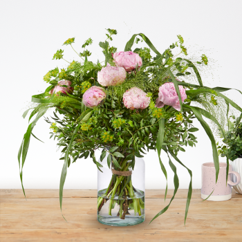Pioenrozen assortiment
