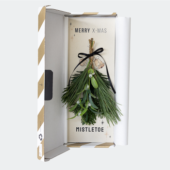 Brievenbus Mistletoe