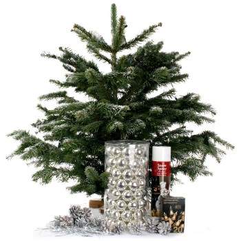 Nordmann mini kerstboom Zilver