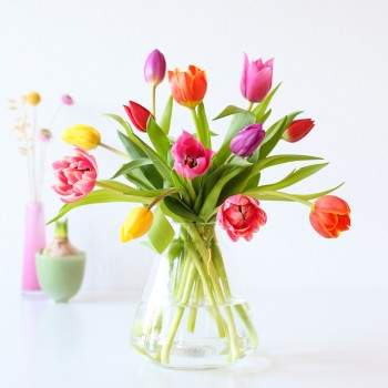 Brievenbus tulpen mix