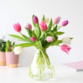 Mailbox tulips pastel