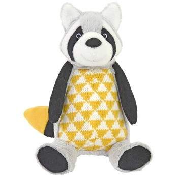 Racoon Rabi