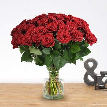 10 of meer lange rode rozen