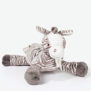 Zebra Zoe
