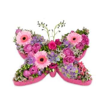 Pink Butterfly
