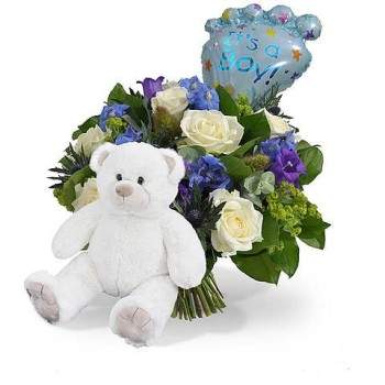 Geboorte jongen + ballon + witte knuffel