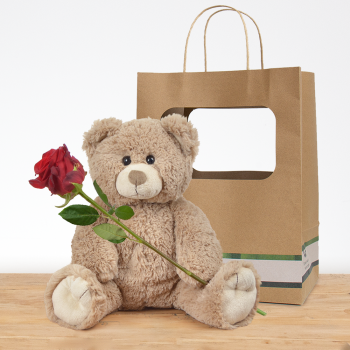 Bruine knuffel met rode roos