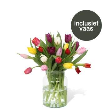 Gemengde tulpen incl. vaas