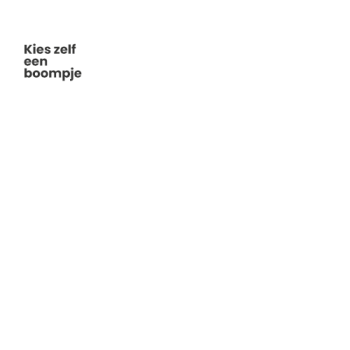 Geboorteboompje