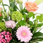 Boeket Jill