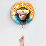 Happy aap ballon