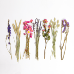 Droogbloemen Brievenbus