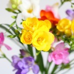 Brievenbus Freesia