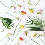 Brievenbus Freesia