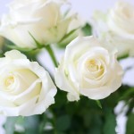 Brievenbus rozen meisje