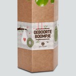 Geboorteboompje