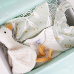 Geboorte cadeau little goose
