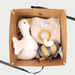 Geboorte cadeau little goose