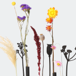 Droogbloemen & vaasjes op bamboe standaard