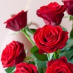 Brievenbus rozen rood