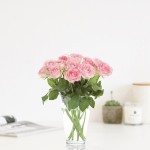 Brievenbus rozen licht roze