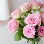 Brievenbus rozen licht roze
