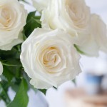 Brievenbus rozen wit